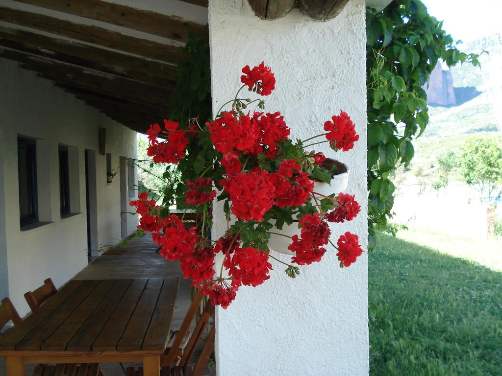 Camping Bungalows Armalygal Murillo de Gállego Rom bilde